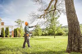 How Our Tree Care Process Works  in Timber Pines, FL